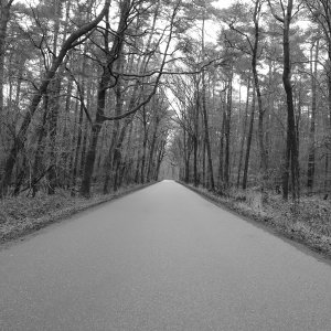 Waldstraße...... Sabine Schröder